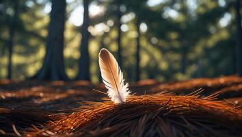 Feather Standing Upright on Pine Needles in a Forest Setting photo