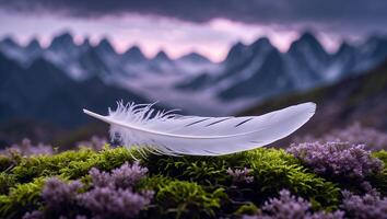 White Feather Resting on Moss with Mountain Landscape in Background photo