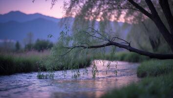Gentle River Flowing Under Willow Tree at Dusk with Mountain Backdrop photo