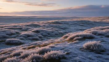 Frosty Grassland Hills at Sunrise with Muted Colors and Horizon photo