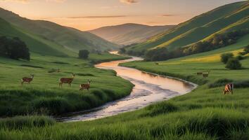 Deer Grazing in Green Valley with River at Scenic Sunset photo