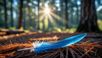 Blue Feather Resting on Pine Needles in Forest with Sunlight photo