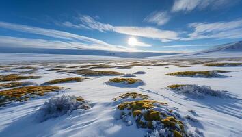 Vast Snowy Arctic Landscape with Moss Patches Under a Sunny Sky photo