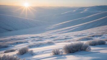 Sunrise Over Snow Covered Hills and Bushes During Cold Winter Day photo