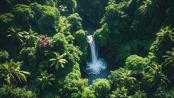 Waterfall Flowing Through Lush Green Tropical Rainforest From Above photo