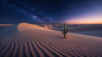 Cactus Stands Tall in Desert Sand Dunes Under Milky Way photo