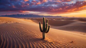 Cactus Standing Tall in a Desert Landscape During Sunset with Mountains photo