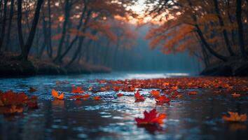 Autumn Maple Leaves Floating on River Reflecting Forest at Dusk photo