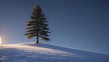 Lone Pine Tree on Snowy Hillside Against Clear Blue Sky photo