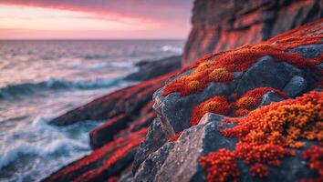 Coastal Rock Formation at Dusk with Vibrant Red and Orange Moss photo