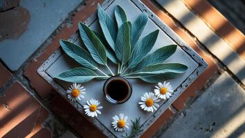 Dark Liquid with Sage Leaves and Daisies on Stone Tile photo
