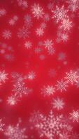 Festive red background with delicate white snowflakes falling in soft focus video