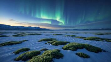 Dramatic Northern Lights Over Snowy Plain with Patches of Greenery photo