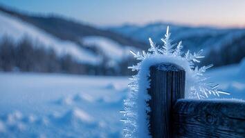 Snowflake Crystals Clinging to a Wooden Fence Post in Winter Scenery photo