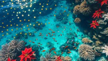 Coral Reef with Poinsettia and Fish Under Starry Water Surface photo