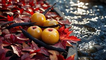 Apples and Vanilla Beans Among Autumn Leaves Near Sparkling River photo