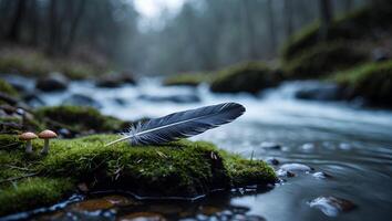 Feather Resting on Moss by Stream in Forest, Serene Nature photo
