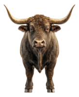 Majestic Bull with Large Horns on a Transparent Image png