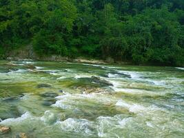 A river with rapids and trees in the background photo