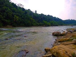 A river with rocks and trees in the background photo