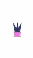 Two potted plants and succulents in pots 2D cartoon vertical animation. Indoor greenery. Leafy houseplants. Botanical vibe. Home flora animated flat colorful objects 4K isolated on white video
