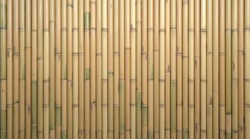 Natural light beige bamboo poles wall texture background photo