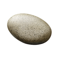 Speckled bird egg on a transparent background, closeup of natural texture and pattern Concept of wildlife, nature, and ornithology png