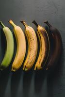 Five bananas arranged in a row showing the stages of banana ripening from green, yellow to brown on a gray background photo