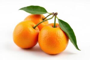 Freshly harvested oranges with green leaves on a white background isolated studio shot photo