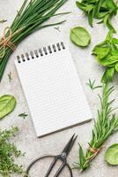 Fresh herbs and notepad lying on gray table for recipes or menu photo