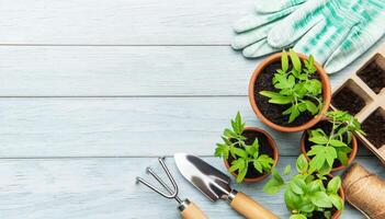 Gardening tools and seedlings on rustic wooden table promoting sustainable living photo