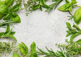 Fresh herbs frame creating empty space on gray photo