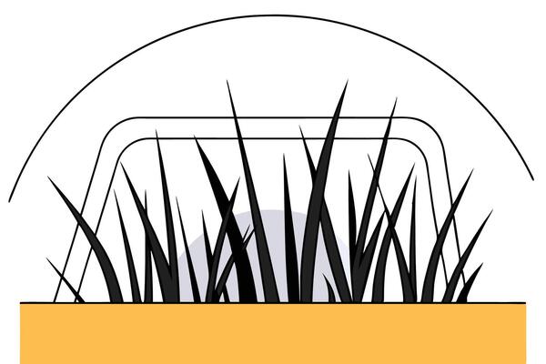 Fresh close up of natural green grass with botanical elements suitable for clean environment illustrations eco projects and sustainable lifestyle visual content