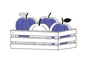 A wooden crate with three apples in it vector
