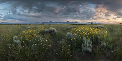 Sunset Over Wildflower Meadow and Mountain Range photo