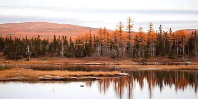 Autumn Landscape Lake Reflection of Golden Larch Trees and Mountains photo
