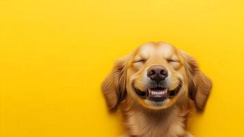 A golden retriever is smiling and laughing photo
