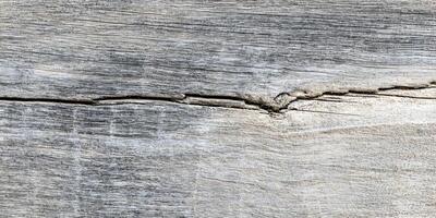 Closeup Grey Weathered Wood Texture with Crack photo