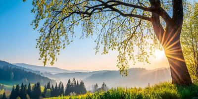Sunrise over Misty Mountains Spring Landscape Tree Branches photo