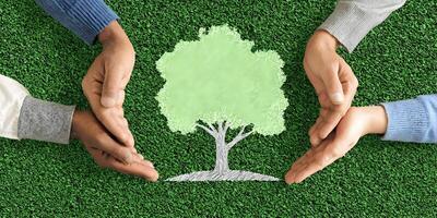 Three Diverse Hands Protecting a Drawn Tree on Green Grass Environmental Conservation Teamwork Concept photo