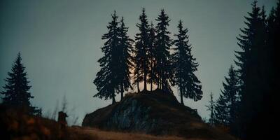 Silhouette of Four Pine Trees on Hilltop at Dusk photo