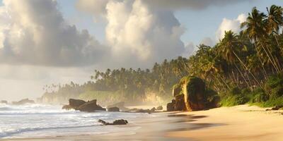 a beach with palm trees and waves photo