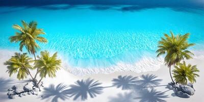 Tropical Beach Scene with Palm Trees and Turquoise Water Aerial View photo