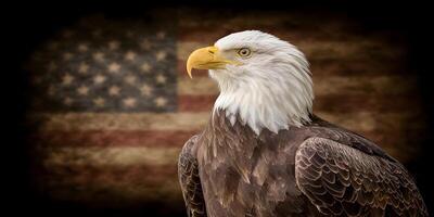 American Bald Eagle Profile View with USA Flag Background photo
