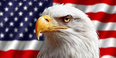 an eagle with an american flag background photo