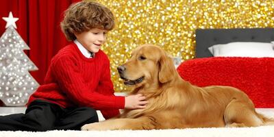 Boy in Red Sweater Petting Golden Retriever Dog Christmas Festive Background photo