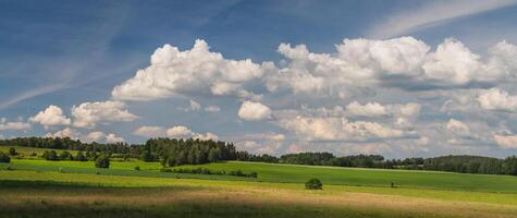 landscape with blue sky and clouds, field and forest photo