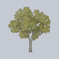 lush tree in pixel art style vector