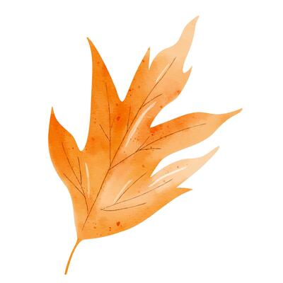 Hand painted fall leaf. Watercolor autumn element for botanical designs, crafts, cards and decorations