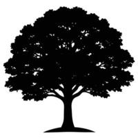 a massive oak tree with a wide sprawling canopy s vector